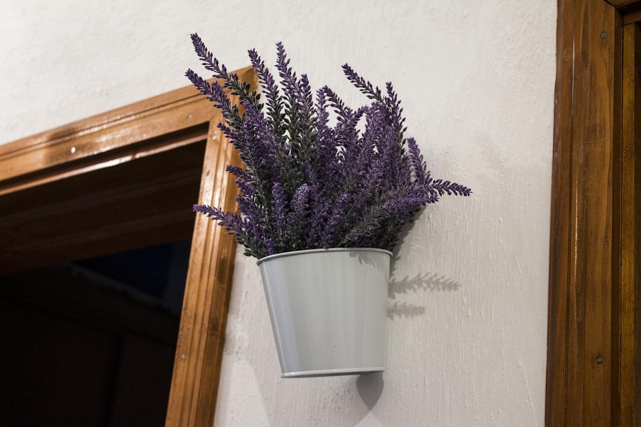 Kuca Lavanda Dreznjak エクステリア 写真