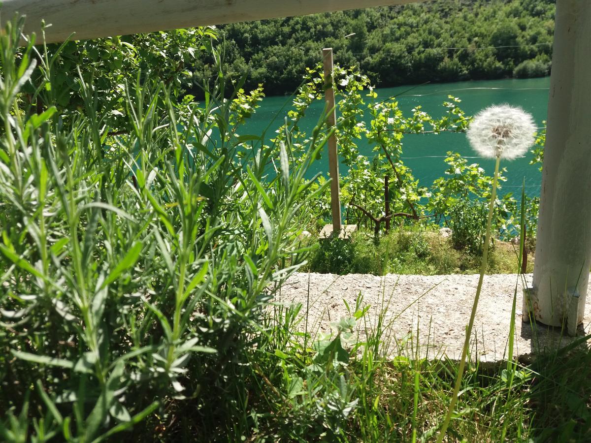 Kuca Lavanda Dreznjak エクステリア 写真