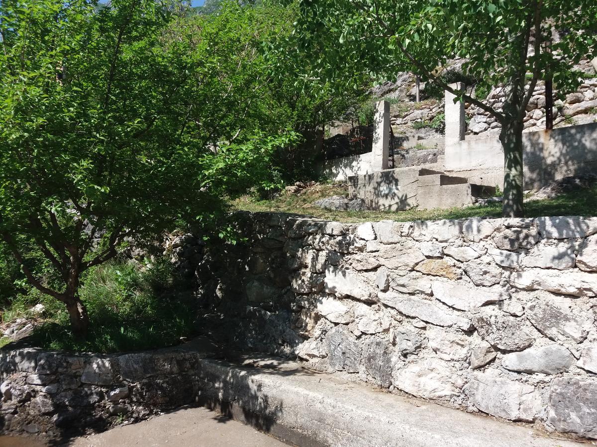 Kuca Lavanda Dreznjak エクステリア 写真